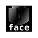 AI FaceSwap 2.2.0换脸软件下载附安装使用教程